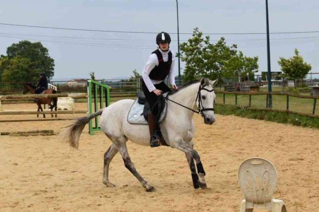 Demi pension - déesse des romagnes - porge (33)