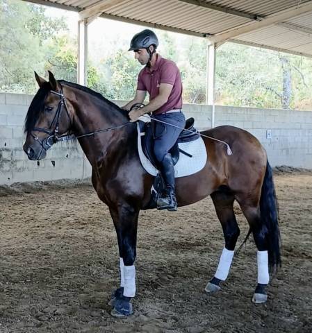 Nouveau cavalier(e) pour odin