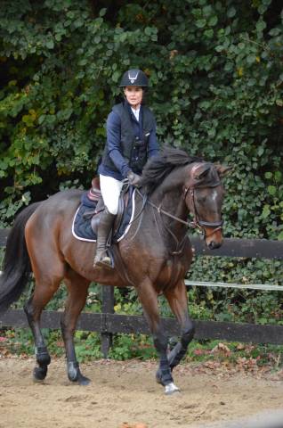 Cheval de loisirs ou sport 