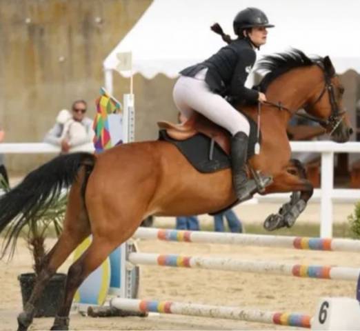 Petite jument de sport -poney français de slle - 10 ans