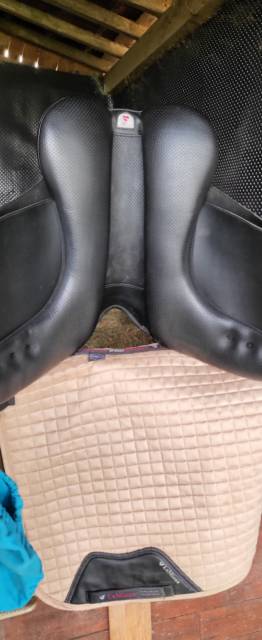 Selle dressage wintec har 