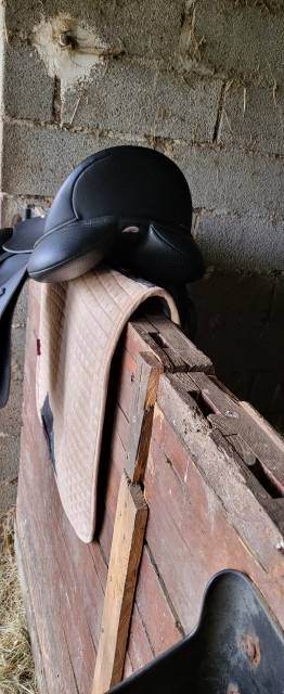 Selle dressage wintec har 