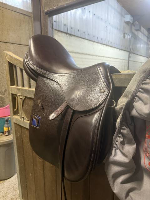 Selle de Saut Childeric 