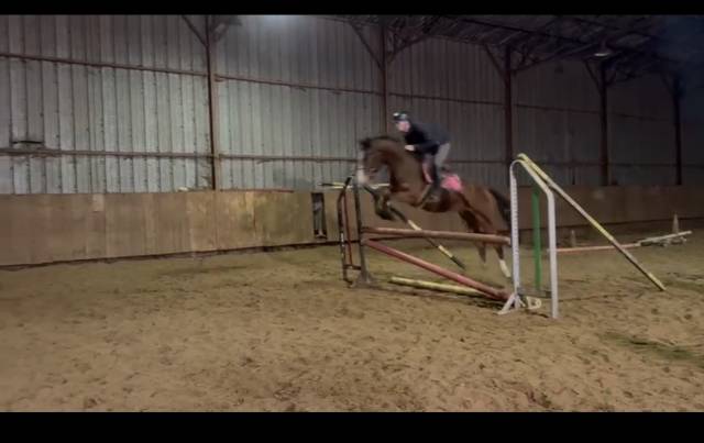 Top 4 ans grosses origines 