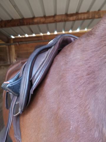 Selle ikonic jumping light 16,5 