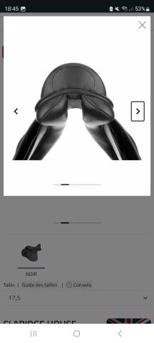 Selle claridge house soft seat