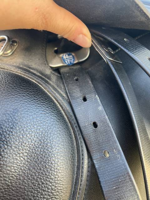 Selle wintec mixte 500 hart 