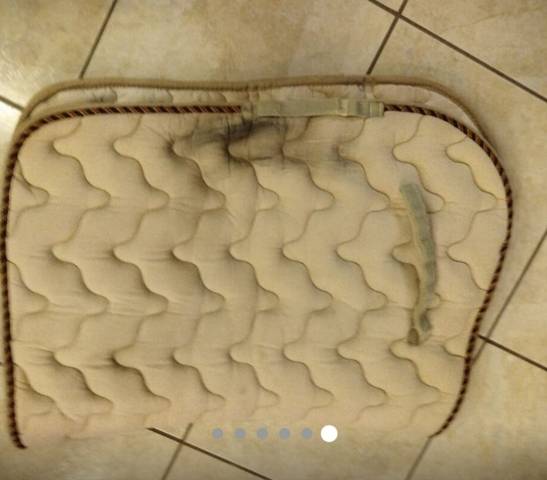 Tapis Equith&egrave;me beige Cheval - Full