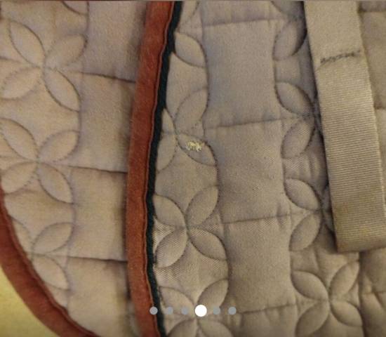 Tapis cottage craft cheval