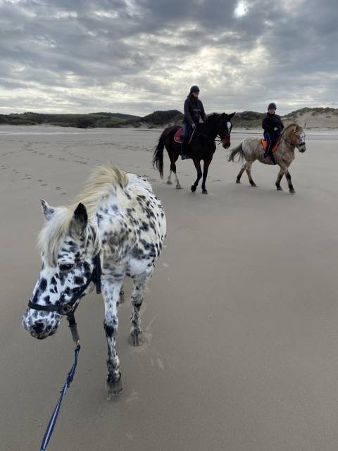 Demi pension ponette 