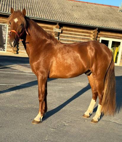 Entier 3 ans type pre 