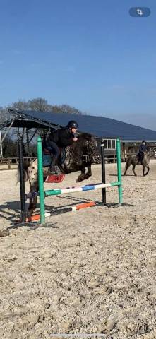 Poney top club et concours 