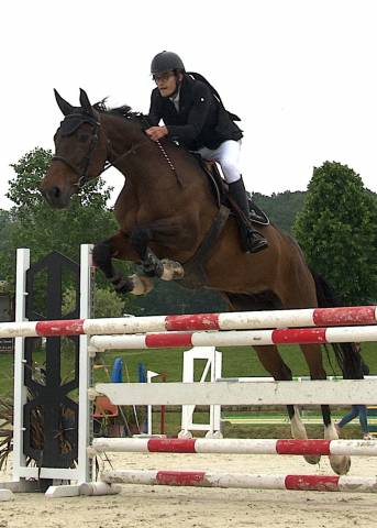 A vendre baya delaconterie 