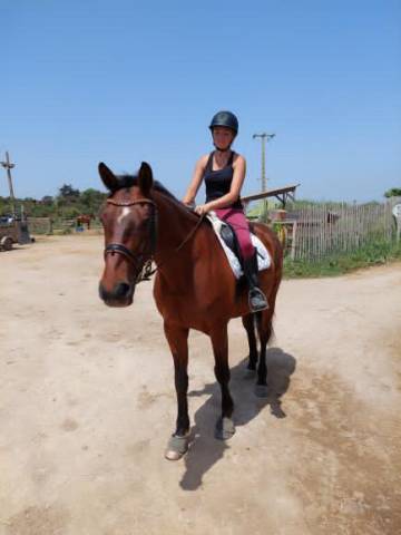 Volubilis cherche sa famille pour la vie 