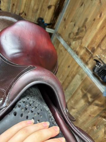 Vends selle mixte 2019 CWD 17,5 avec housse et &eacute;trivi&egrave;r