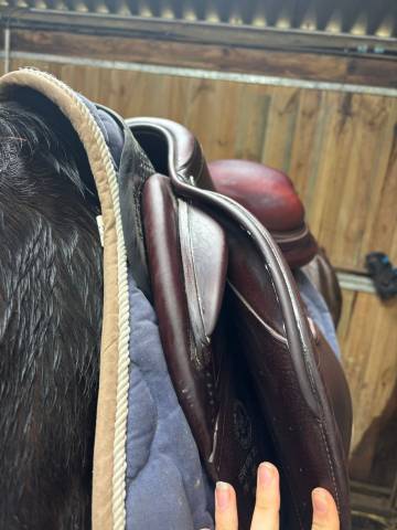 Vends selle mixte 2019 CWD 17,5 avec housse et &eacute;trivi&egrave;r