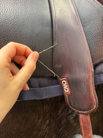 Vends selle mixte 2019 CWD 17,5 avec housse et &eacute;trivi&egrave;r