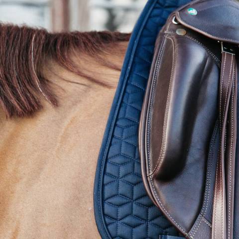 Tapis de selle Classique DRESSAGE - Kentucky