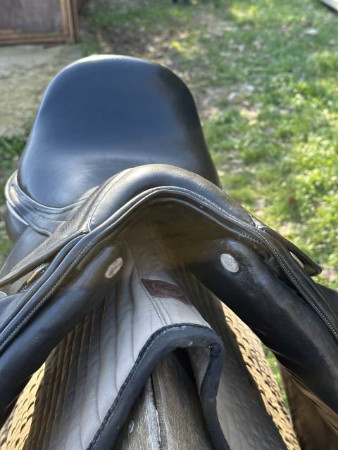 Selle de dressage 