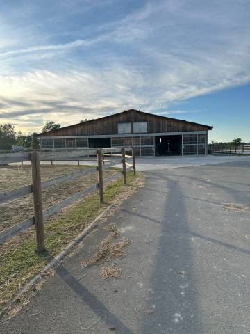 Palefrenier soigneur