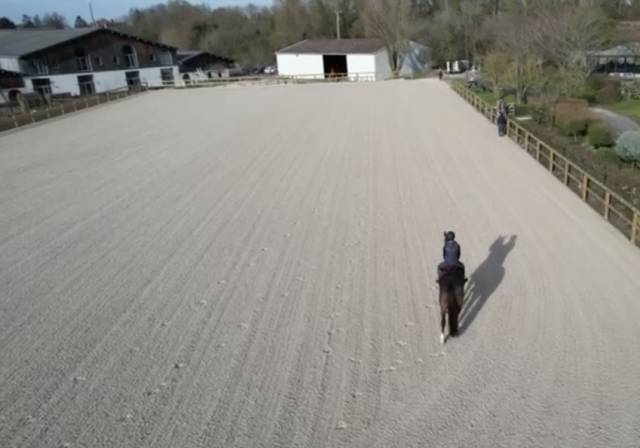 Pensions chevaux au haras montois 