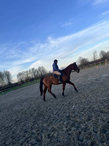 Monitrice indépendante 