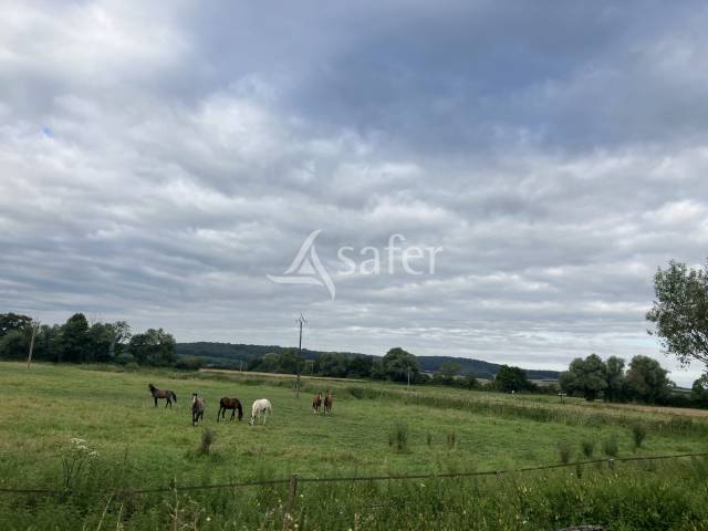 Bâtiment équestre avec 10 ha - maison à réhabiliter