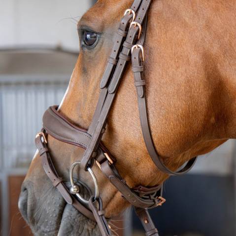 Bridon Soft Bombastic Crystals - HARRY'S HORSE