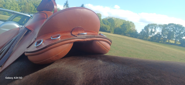 Selle de cheval 18 pouce