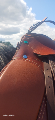 Selle de cheval 18 pouce