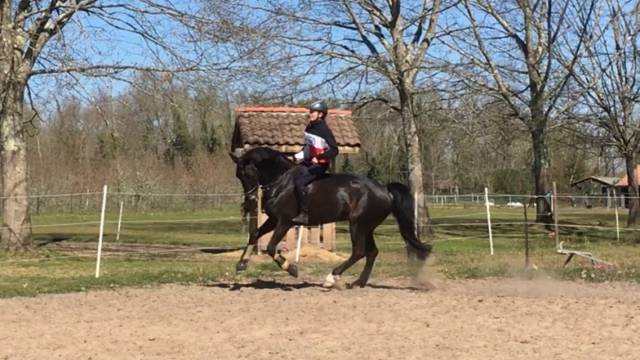 Demi-pension heldine