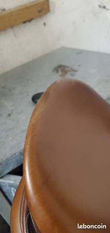 Selle mixte &Eacute;ric Thomas Hybrid 17,5"