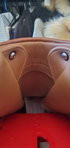 Selle mixte &Eacute;ric Thomas Hybrid 17,5"