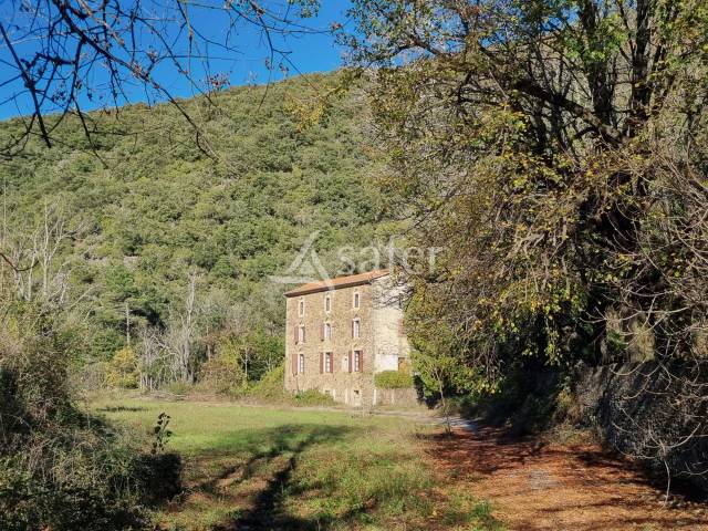 Parc national des cévennes : petite propriété authentique au