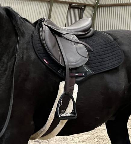 Selle d&rsquo;obstacle comme neuve 