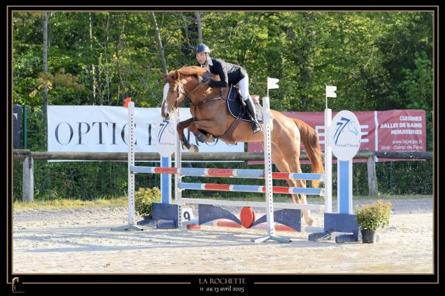 Jument pour loisir et cso jusqu’à amateur élite 