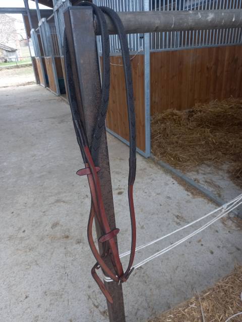 Cause double emploi vends rênes 