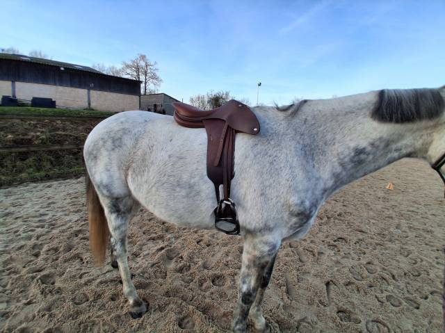 Selle butet practice
