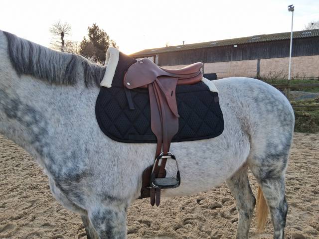 Selle butet practice