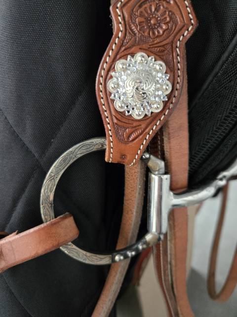 Bridon et collier de chasse western