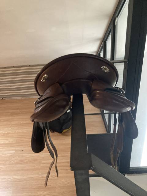 Selle Atena /Athena Prestige