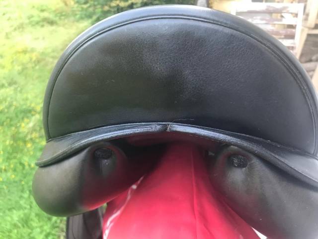 Selle Equipe dressage Olympia