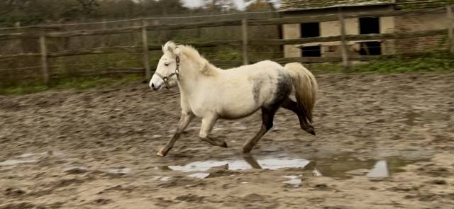 Idéal club ou loisir