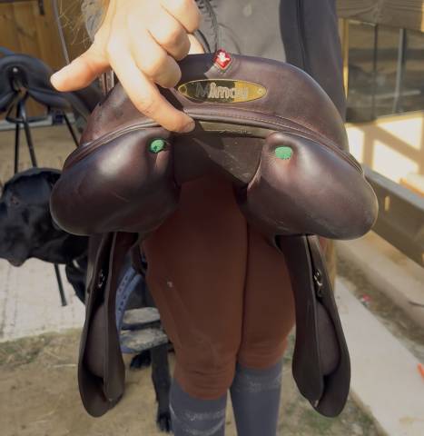 Equipe Synergie Havane 2023