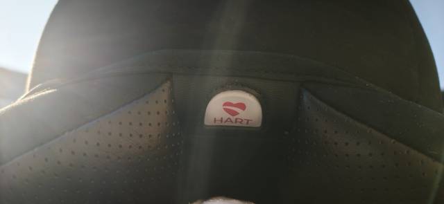 Selle de dressage Wintec Pro Hart am&eacute;lior&eacute;e 2024