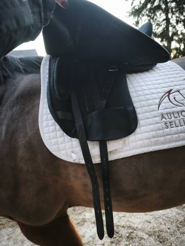 Selle de dressage Wintec Pro Hart am&eacute;lior&eacute;e 2024