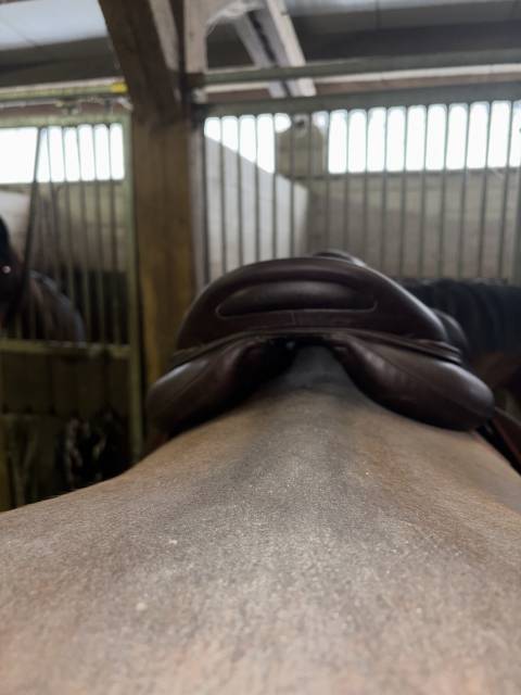 Chiberta Lab 17 pouces 