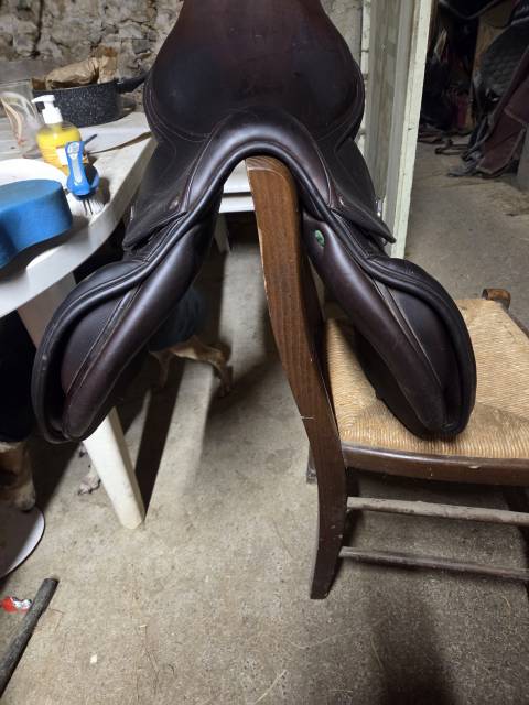 Selle equipe &Eacute;volution 