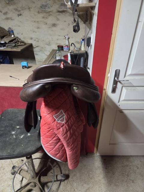 Selle equipe &Eacute;volution 