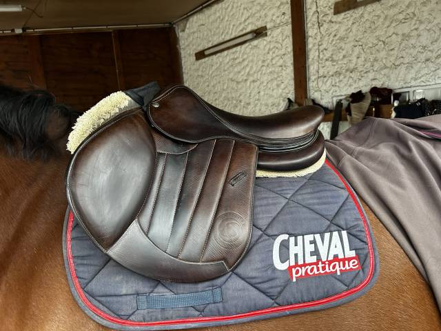 Selle forestier S&eacute;oul 2023